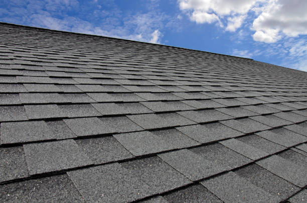 Best Roof Moss and Algae Removal  in North Vacherie, LA