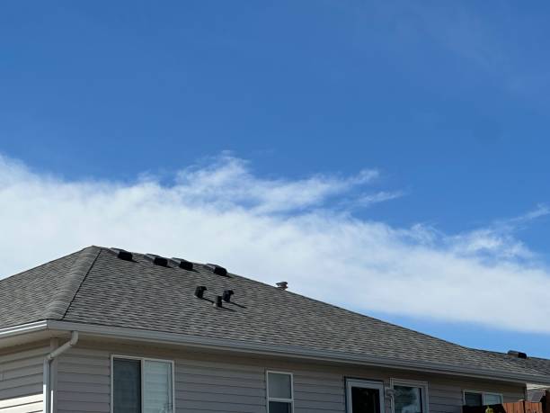 Best Asphalt Shingle Roofing  in North Vacherie, LA